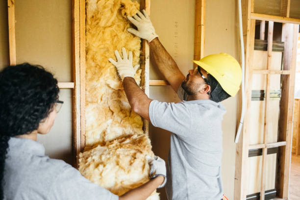 Best Commercial Insulation Services  in Rafter J Ranch, WY